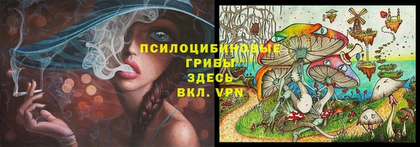 синтетический гашиш Алексеевка