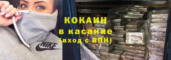 сатива Нягань