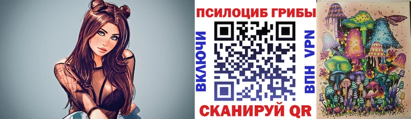 Псилоцибиновые грибы Cubensis  Сасово 